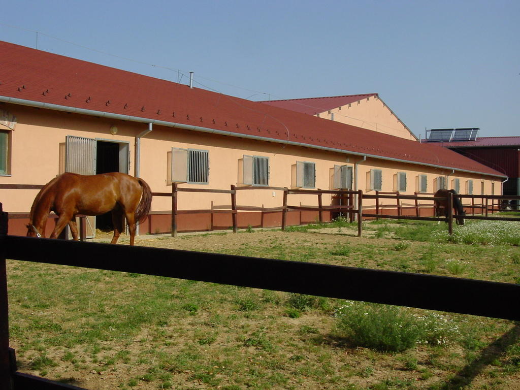 Totvar Lovas Szallashely Kovagotottos Zewnętrze zdjęcie